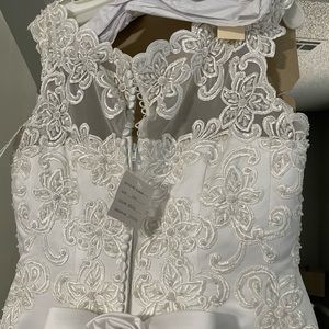 Let’s Get Married!!